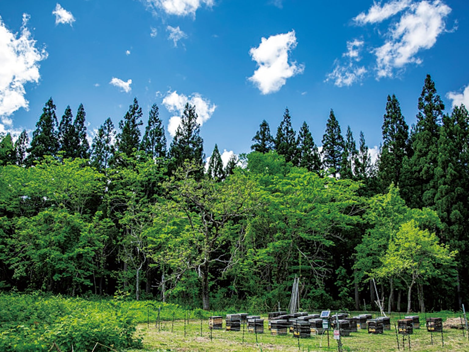 松本養蜂総本場