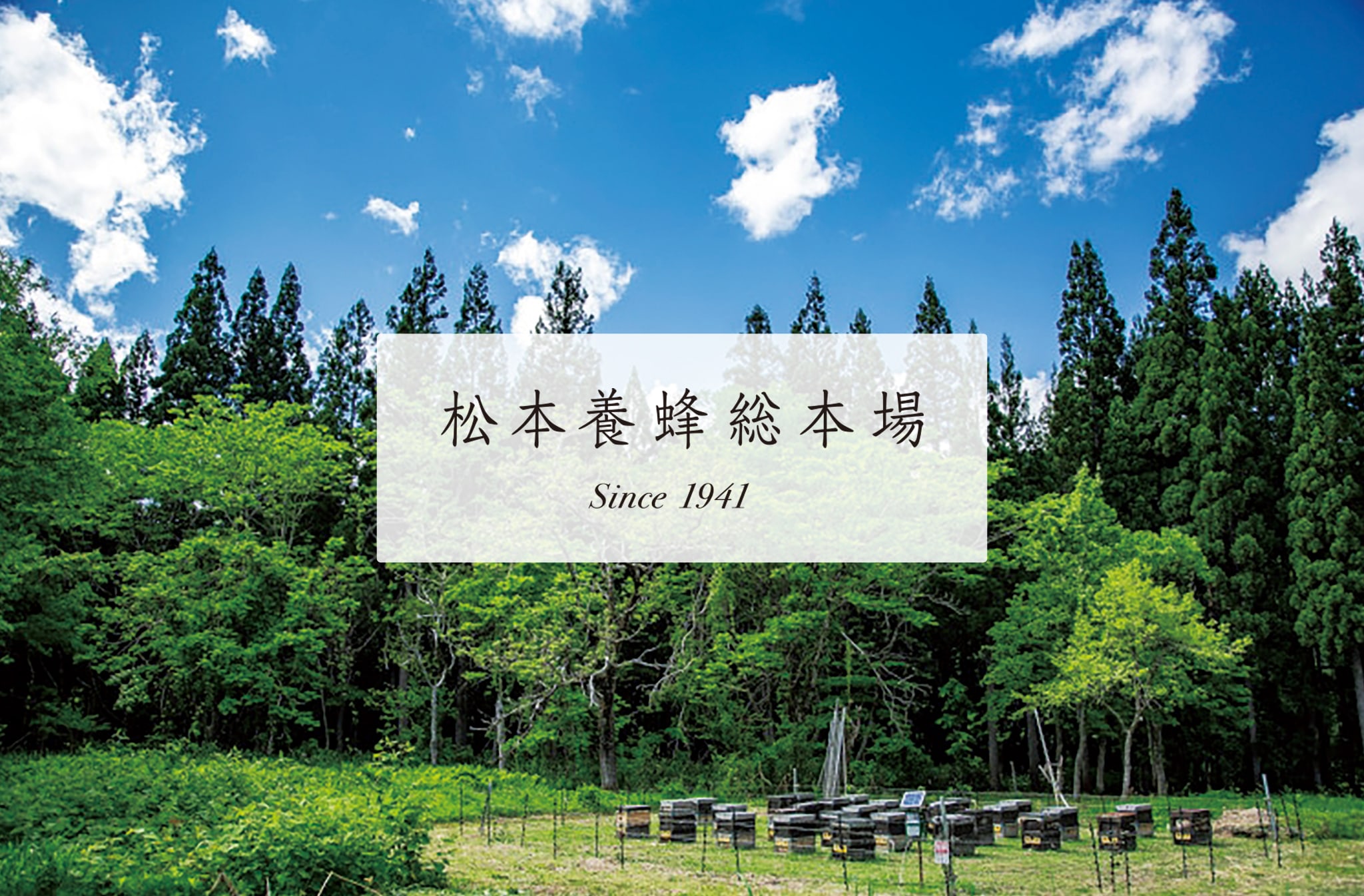 松本養蜂総本場