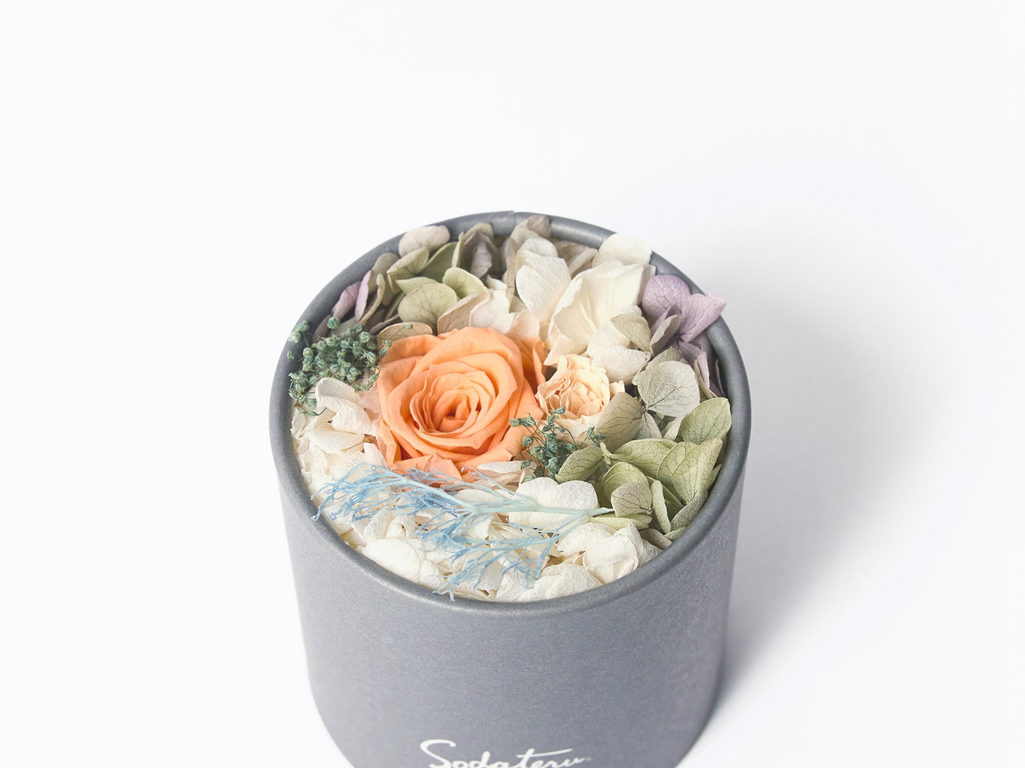 feel スペックイメージ5