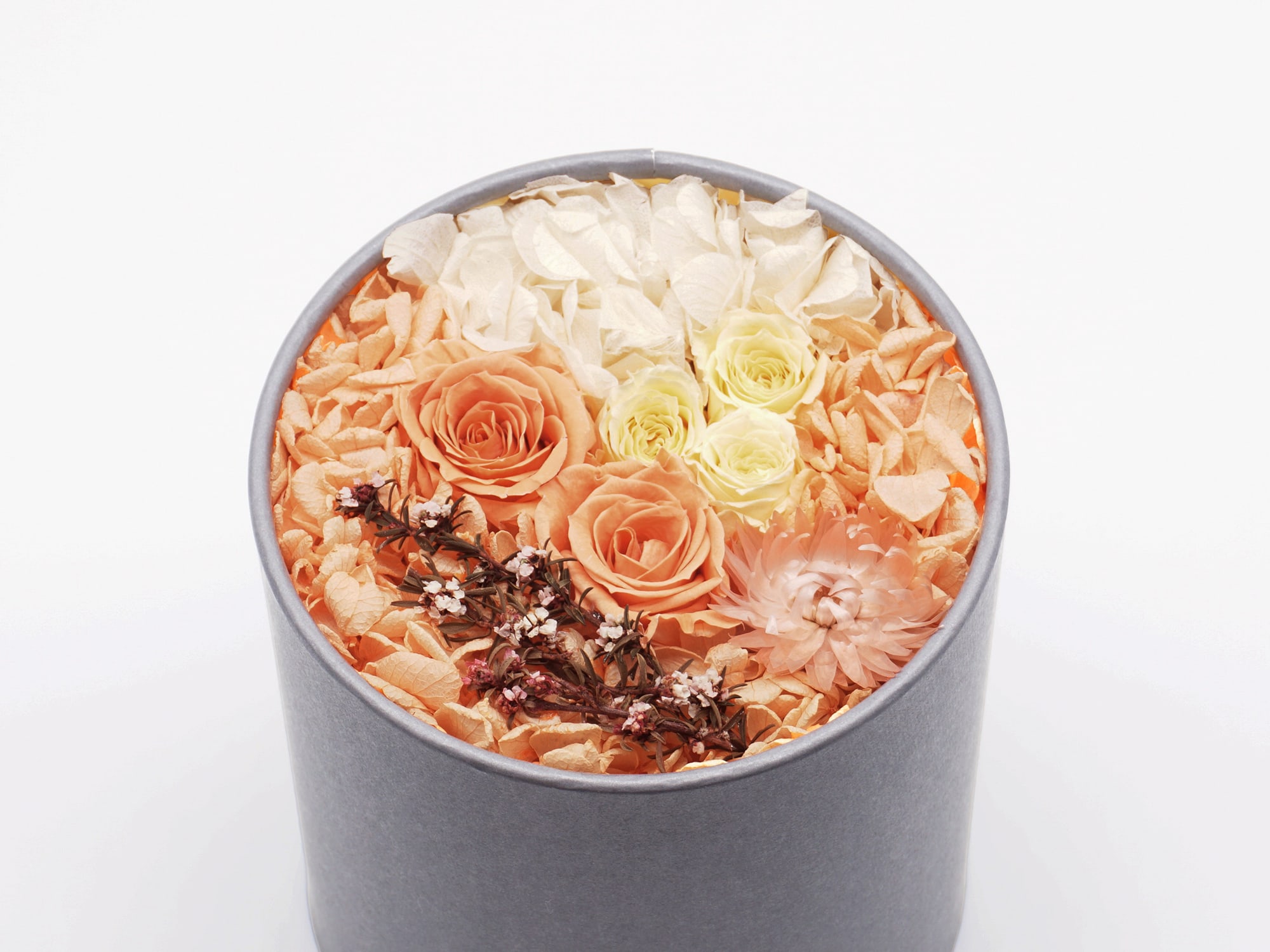 feel スペックイメージ5