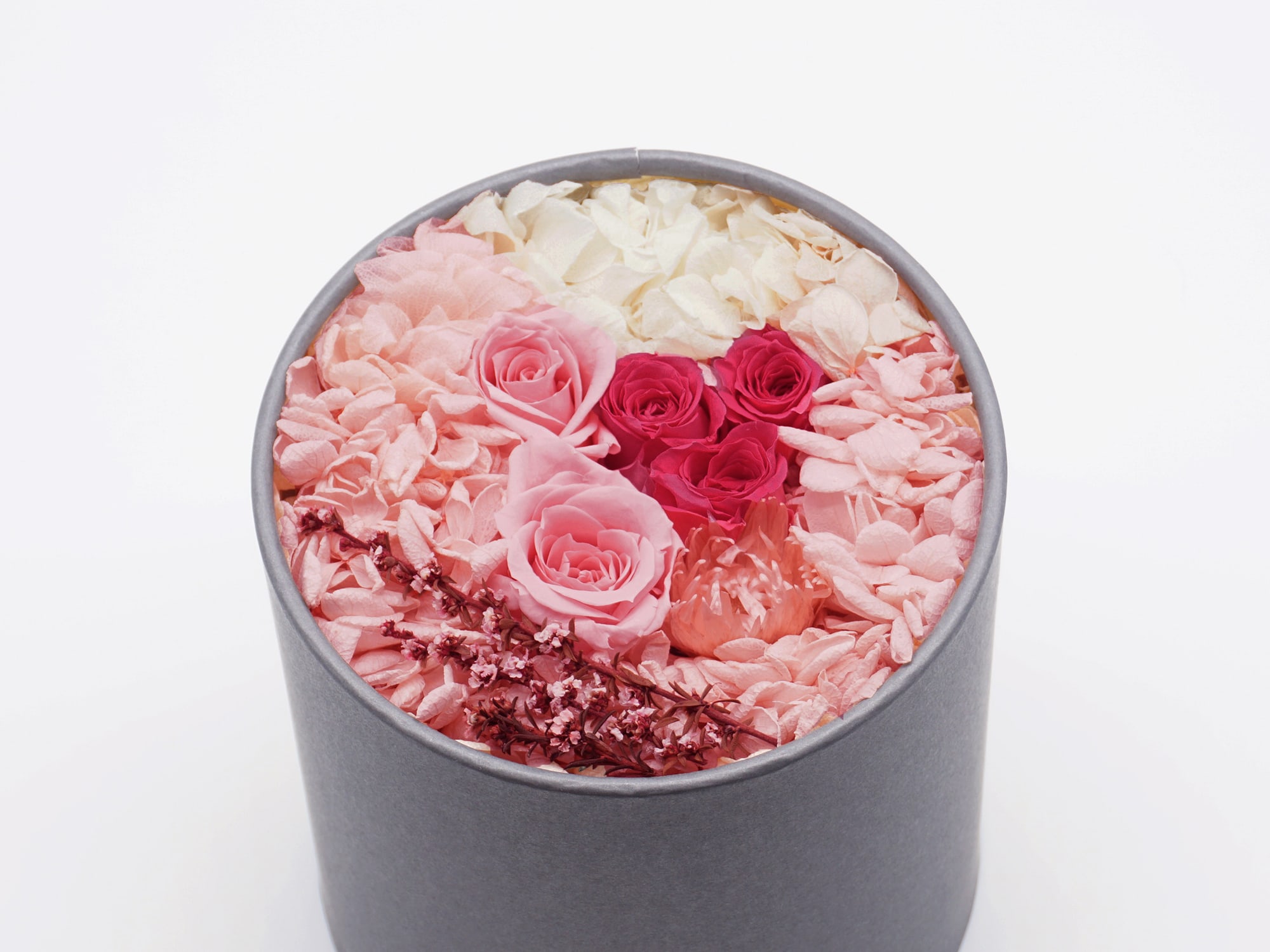 feel スペックイメージ4